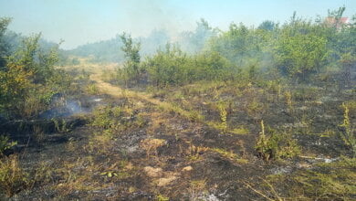 За добу на Миколаївщині виникло 8 пожеж на відкритих територіях. Сьогодні зберігається високий клас пожежної небезпеки! | Корабелов.ИНФО