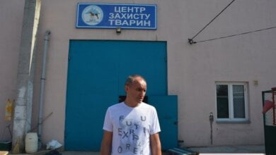 «Массового отлова собак как такового сейчас нет», - чиновники о николаевском Центре защиты животных | Корабелов.ИНФО