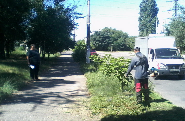 покос травы в Корабельном районе