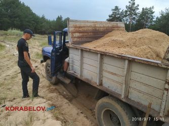 В Балабановском лесу снова задержали песчаного браконьера (ВИДЕО) | Корабелов.ИНФО image 5