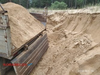 В Балабановском лесу снова задержали песчаного браконьера (ВИДЕО) | Корабелов.ИНФО image 4