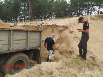 В Балабановском лесу снова задержали песчаного браконьера (ВИДЕО) | Корабелов.ИНФО image 2