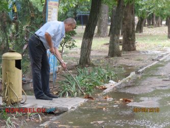 "Район плавает в фекалиях, а мэр празднует День города", - жители Корабельного страдают от вонючих потопов (ВИДЕО) | Корабелов.ИНФО image 5