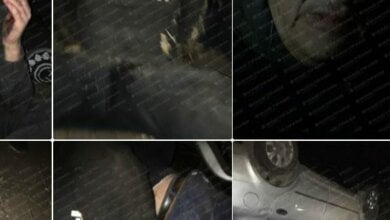 На Николаевщине фермеры с погоней задержали банду, забросавшую «коктейлями Молотова» дом (видео 18+) | Корабелов.ИНФО