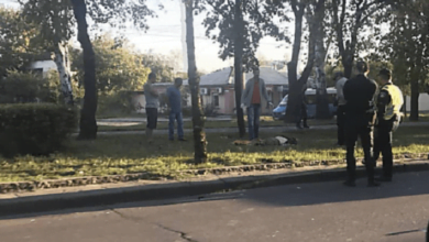 В Николаеве автомобиль насмерть сбил бездомного | Корабелов.ИНФО