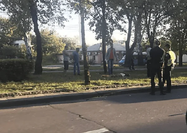 В Николаеве автомобиль насмерть сбил бездомного | Корабелов.ИНФО