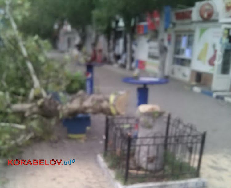 спилили здоровое дерево на пр. Корабелов
