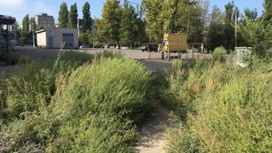 Прибиралися, але не усюди встигли: про санітарне очищення Корабельного району з 10 по 14 вересня | Корабелов.ИНФО image 2