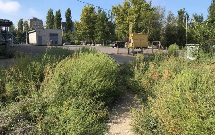 Прибиралися, але не усюди встигли: про санітарне очищення Корабельного району з 10 по 14 вересня | Корабелов.ИНФО image 2