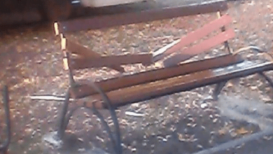 Ночью в центре Николаева вандалы разгромили скамейки и урны: сумма ущерба - более 30 тыс грн | Корабелов.ИНФО image 3