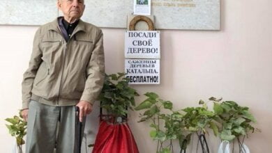 «Посади свое дерево», - легендарный пенсионер из Корабельного района принес депутатам горсовета саженцы катальпы | Корабелов.ИНФО