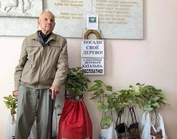 «Посади свое дерево», - легендарный пенсионер из Корабельного района принес депутатам горсовета саженцы катальпы | Корабелов.ИНФО