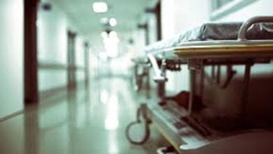 "В Одесской области пять человек госпитализировали с сибирской язвой" – СМИ | Корабелов.ИНФО