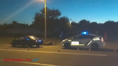 Водитель "Ниссана" в Корабельном районе Николаева сбил животное на пешеходном переходе: корова не выжила | Корабелов.ИНФО image 3