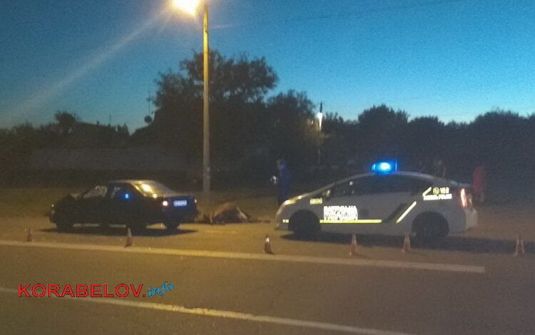 Водитель "Ниссана" в Корабельном районе Николаева сбил животное на пешеходном переходе: корова не выжила | Корабелов.ИНФО image 3