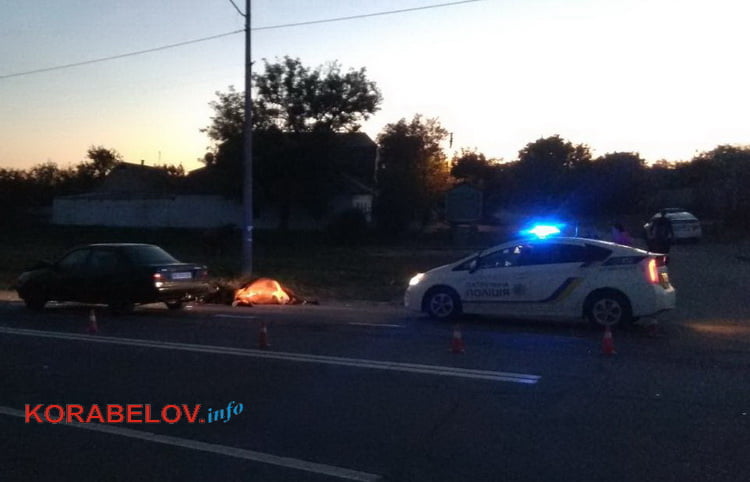 "Ниссан" сбил корову в Корабельном районе