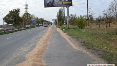 В Корабельном районе из зерновоза на ходу высыпалось около 10 тонн зерна | Корабелов.ИНФО image 2