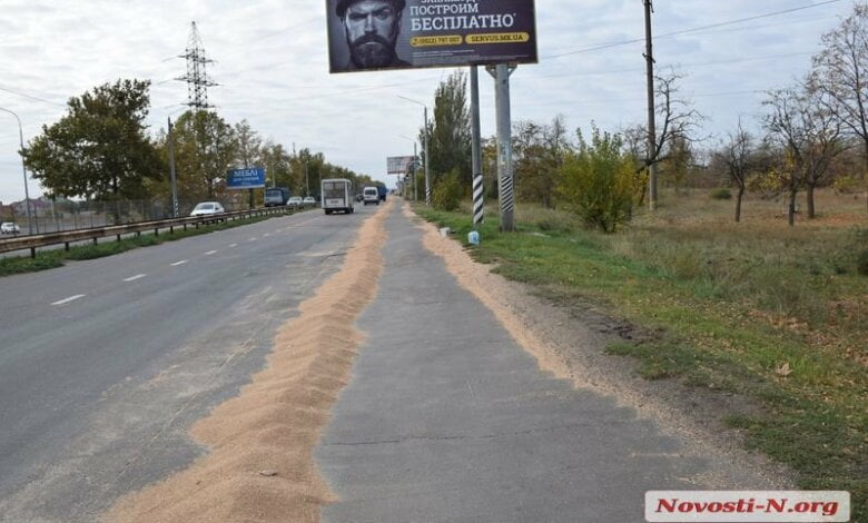 В Корабельном районе из зерновоза на ходу высыпалось около 10 тонн зерна | Корабелов.ИНФО image 2