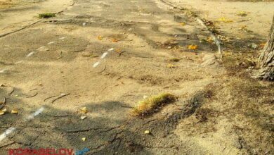 "Там не двор, а поле военных действий", - жительница Николаева - о плачевном состоянии территории вокруг школы № 33 | Корабелов.ИНФО image 4