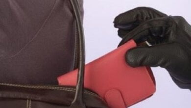 «Орудуют профессионалы», - у депутата в николаевской «маршрутке» украли кошелек | Корабелов.ИНФО