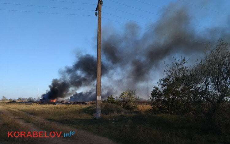 Вонючий дым от горящей свалки окутал "многоэтажки" Корабельного района в Николаеве (ВИДЕО) | Корабелов.ИНФО image 1