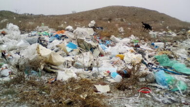 В ответ на жалобу о свалке чиновники посоветовали жительнице Корабельного района заняться розыскной деятельностью | Корабелов.ИНФО