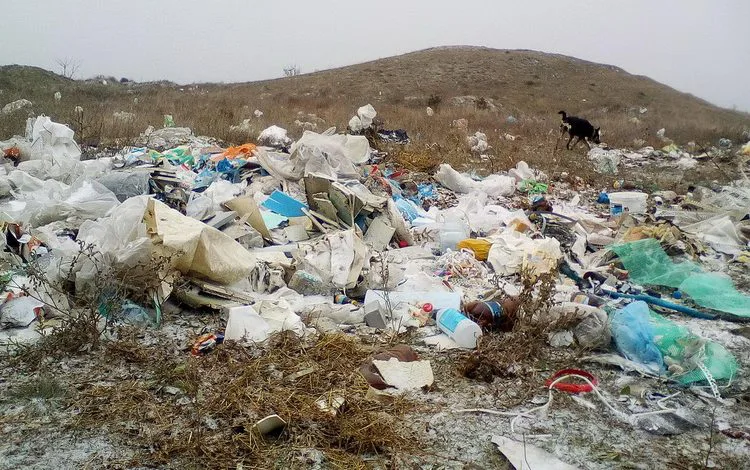 В ответ на жалобу о свалке чиновники посоветовали жительнице Корабельного района заняться розыскной деятельностью | Корабелов.ИНФО