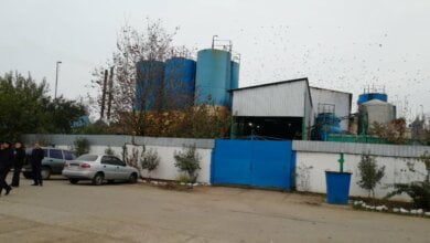 Грабители ворвались на маслозавод на Николаевщине, избили работников и украли больше 200 тыс грн | Корабелов.ИНФО