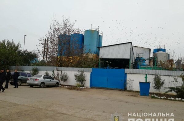 Грабители ворвались на маслозавод на Николаевщине, избили работников и украли больше 200 тыс грн | Корабелов.ИНФО