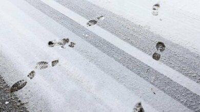 Ночью до -10º, а днем снег: прогноз погоды в Николаеве на пятницу | Корабелов.ИНФО