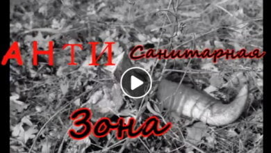 "Там уже критично..." - николаевский школьник снял ролик о "беспределе" в Корабельном районе (ВИДЕО) | Корабелов.ИНФО