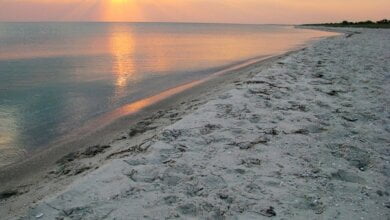 Правительство расширило границы нацпарка «Белобережье Святослава» на Кинбурнской косе на 272 гектара | Корабелов.ИНФО