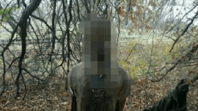 Тело стоит на коленях: в лесополосе у железной дороги в Николаеве обнаружили полуразложившийся труп (ФОТО 18+) | Корабелов.ИНФО image 3