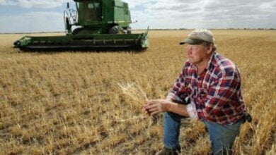 В Николаевской области на поле случайно нашли мумию | Корабелов.ИНФО