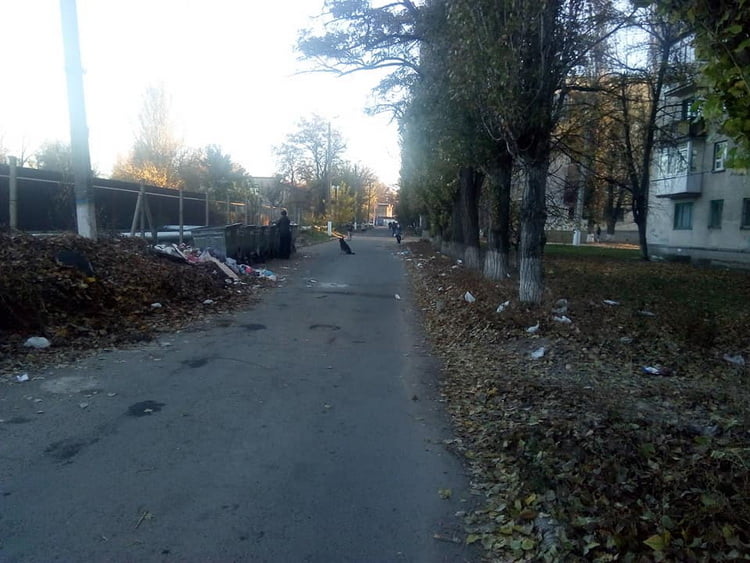 кучи листьев в Корабельном районе