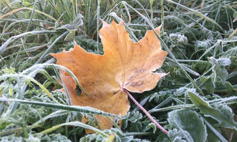 В Николаеве ожидается резкое падение температуры воздуха | Корабелов.ИНФО