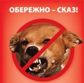 С применением авиатранспорта и с помощью приманок животным в Николаевской области сделают прививки от бешенства | Корабелов.ИНФО