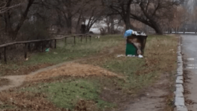 «Беспризорный город»: жители Корабельного района жалуются на мусор и грязь на улицах | Корабелов.ИНФО image 1