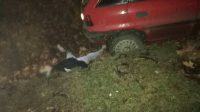 Ночью на Широкобальском перегоне Opel влетел в Nissan и насмерть сбил неизвестного парня. Фото 18+ | Корабелов.ИНФО image 3