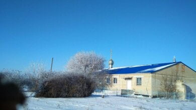"Новим власником стає заможний селянин - Воронков". Історія степових хуторів Вітовщини | Корабелов.ИНФО image 3