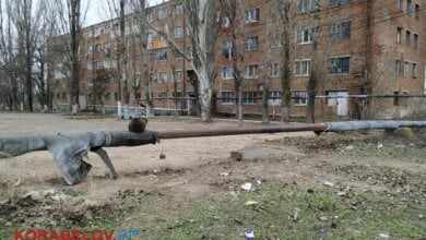 Николаев - город для собак? На оголенной теплотрассе в Корабельном районе греются бездомные животные. За счет жителей | Корабелов.ИНФО image 3