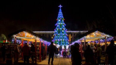 В Николаеве «зажгли» главную новогоднюю елку города | Корабелов.ИНФО image 3