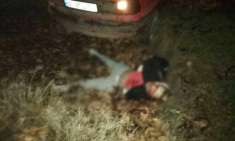 Ночью на Широкобальском перегоне Opel влетел в Nissan и насмерть сбил неизвестного парня. Фото 18+ | Корабелов.ИНФО image 2