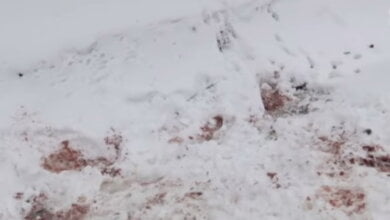 15-летний школьник разбился, катаясь на санках, привязанных к "Джипу" (ВИДЕО) | Корабелов.ИНФО