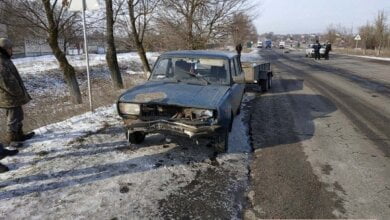 Под Николаевом авто влетело в отару овец – погибло 4 животных, пострадал ребенок, находившийся в машине (Фото 18+) | Корабелов.ИНФО image 6