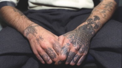 Директор школы в России пригласил криминальных авторитетов провести урок об однополых связях | Корабелов.ИНФО