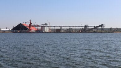 АМПУ внесла расположенный в Корабельном районе зерновой терминал «Евровнешторг» в Реестр морских портов | Корабелов.ИНФО image 1