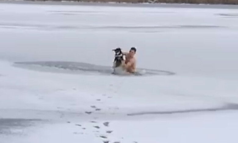 В Николаеве морпех нырнул в прорубь, чтобы спасти тонущего пса (Видео) | Корабелов.ИНФО