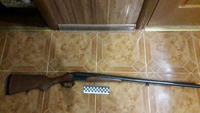 На Николаевщине экс-глава райсуда стрелял в вора, проникшего к нему во двор | Корабелов.ИНФО