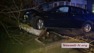 Пьяный зять члена николаевского исполкома на BMW въехал в дерево | Корабелов.ИНФО